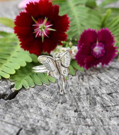 Anillo Schmetterling